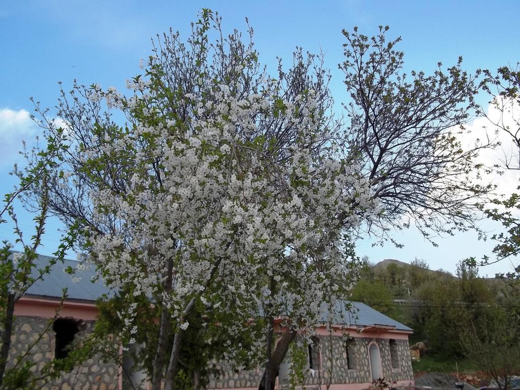 Nemrut Kervansaray Hotel Karadut  Zewnętrze zdjęcie